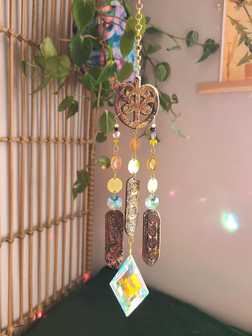 Black and Gold Koiri