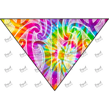 Load image into Gallery viewer, Tie Dye Bandana Bib Bright
